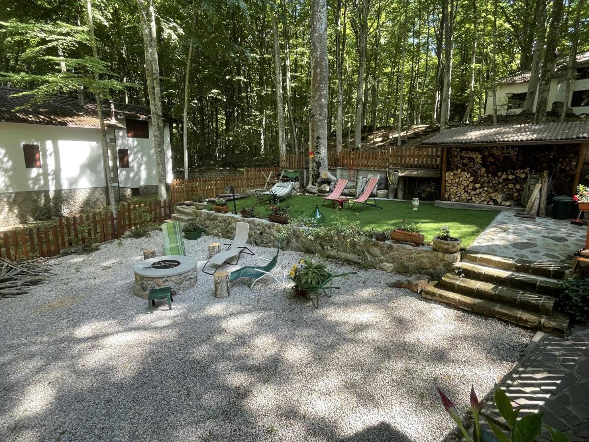Chalet I Folletti Apartment Abbadia San Salvator Bagian luar foto
