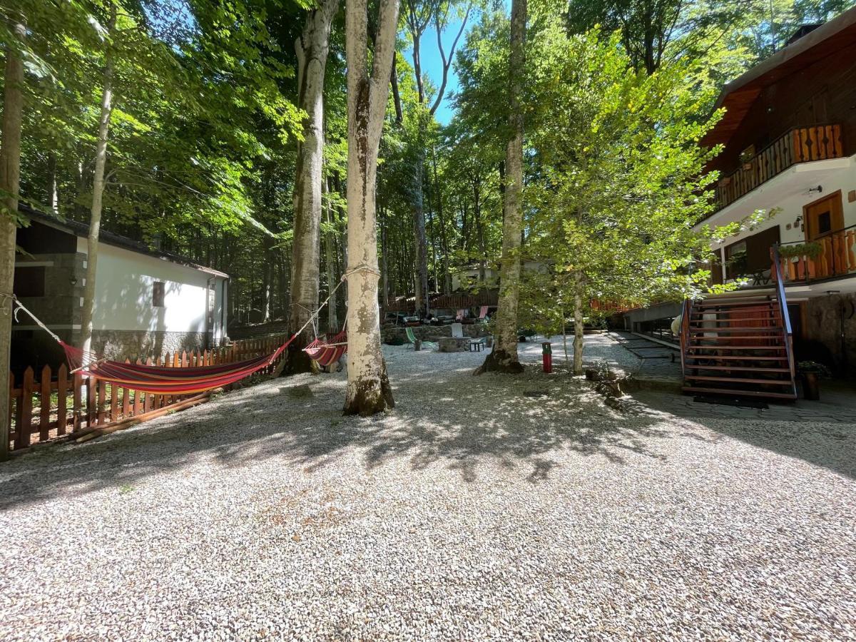 Chalet I Folletti Apartment Abbadia San Salvator Bagian luar foto